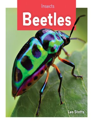 cover image of Beetles